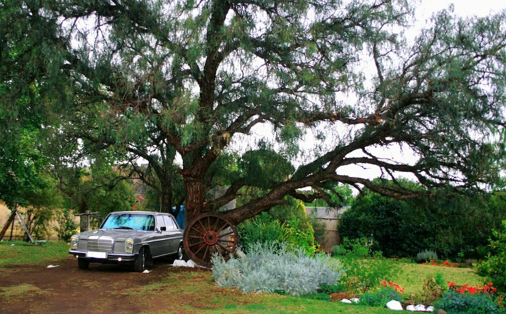 Фото Mountain View Boutique Hotel