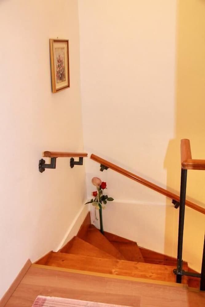 Фото Apartment Bucevic