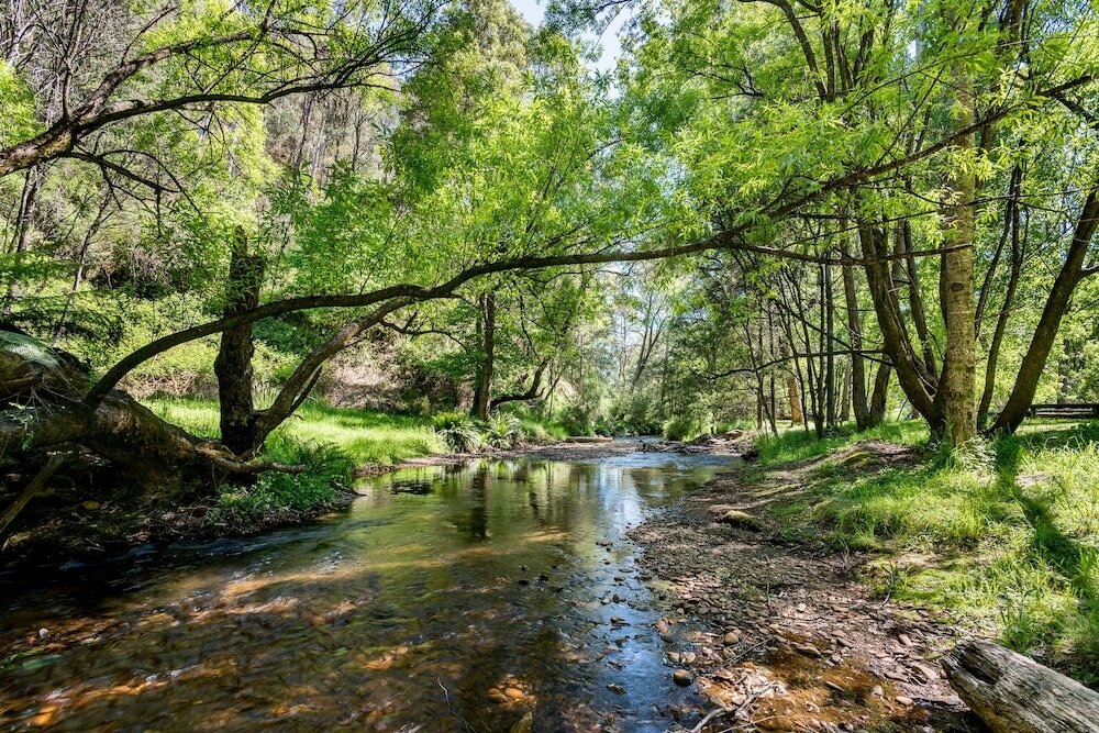 Фото Avalon House