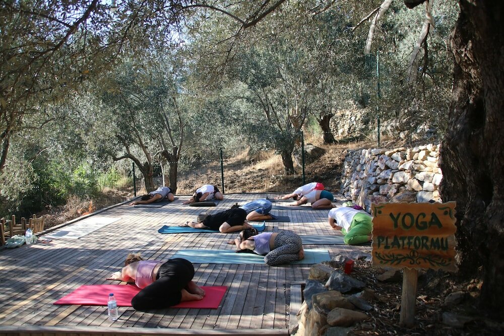 Фото Yiva Otel Kazdağları