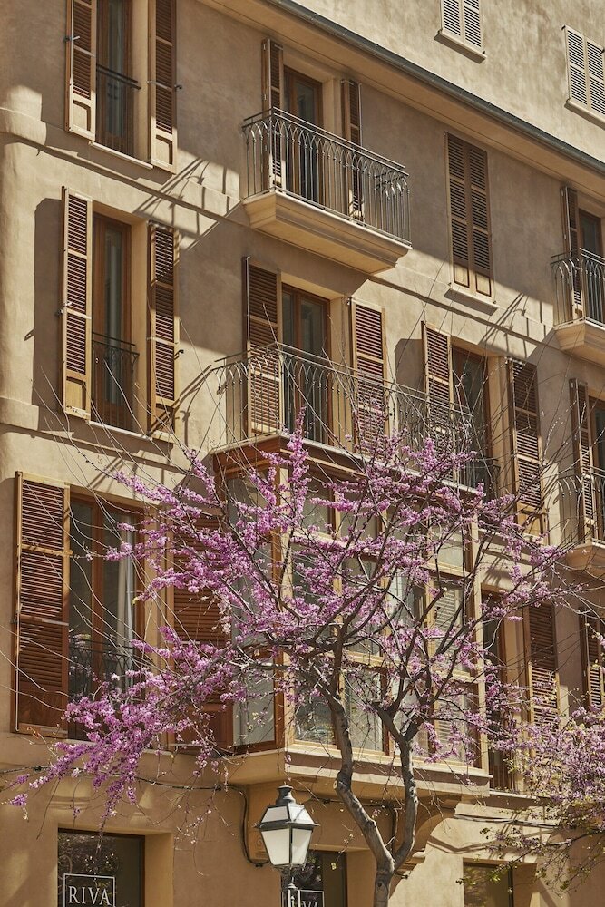 Фото Boutique Hotel Suite Apartment 2 Bedrooms in Palma