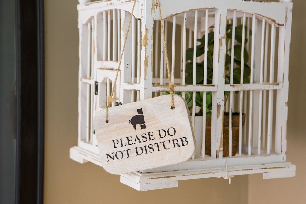 Фото The Curious Pig in the Parlour