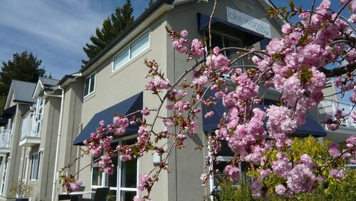 Гостиница Lake Wanaka Lodge в Ванаке