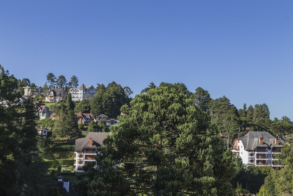 Фото Hotel Leão da Montanha