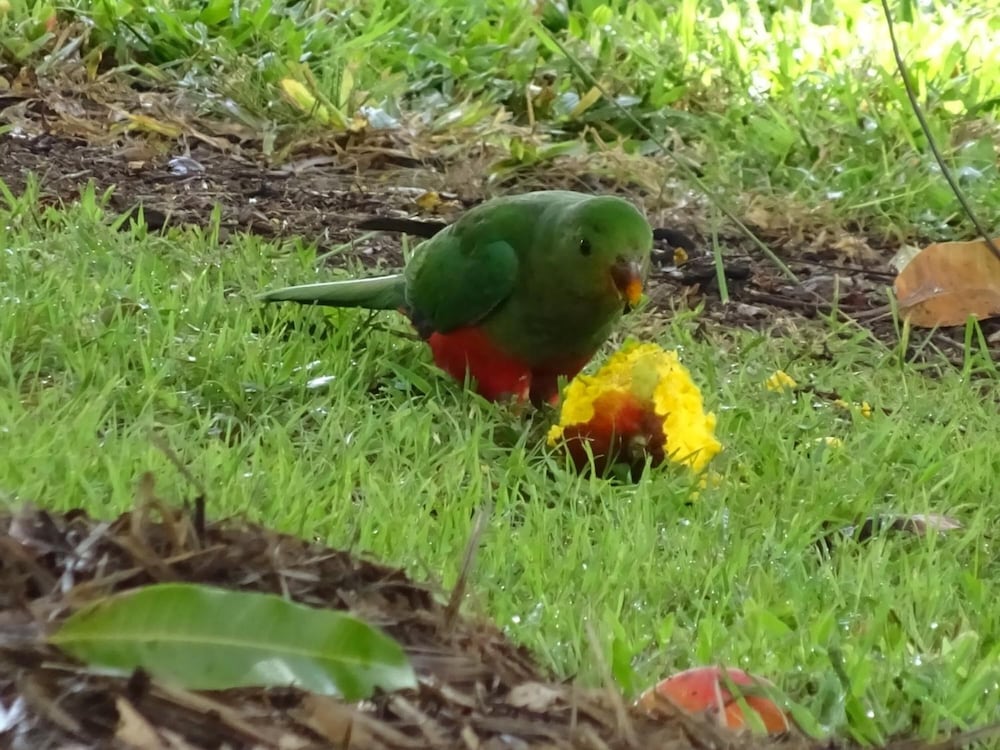 Фото Lagoon Pocket B&b