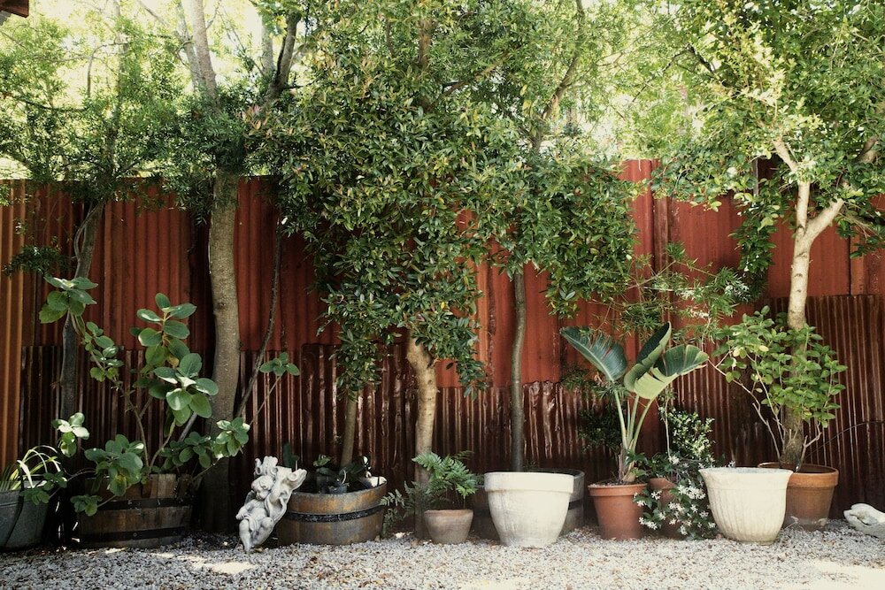 Фото Grand Africa Rooms and Rendezvous