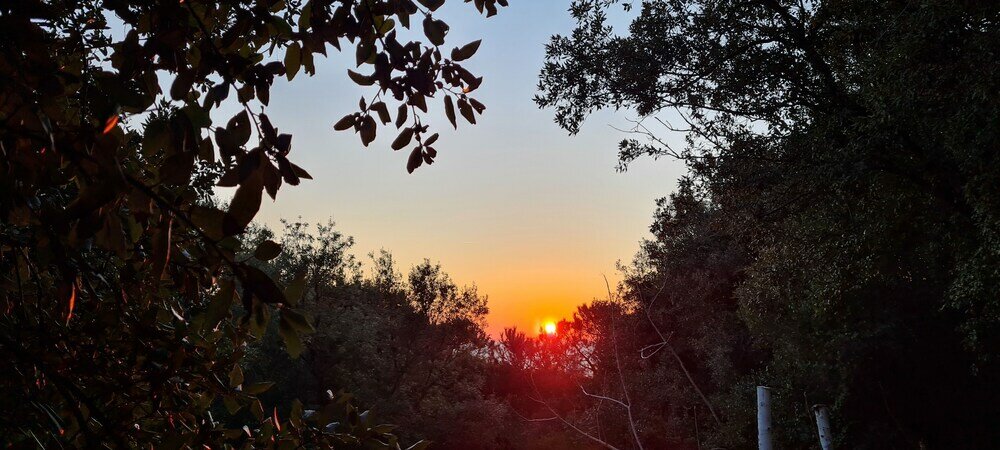 Фото Camping Village Parco della Gallinara