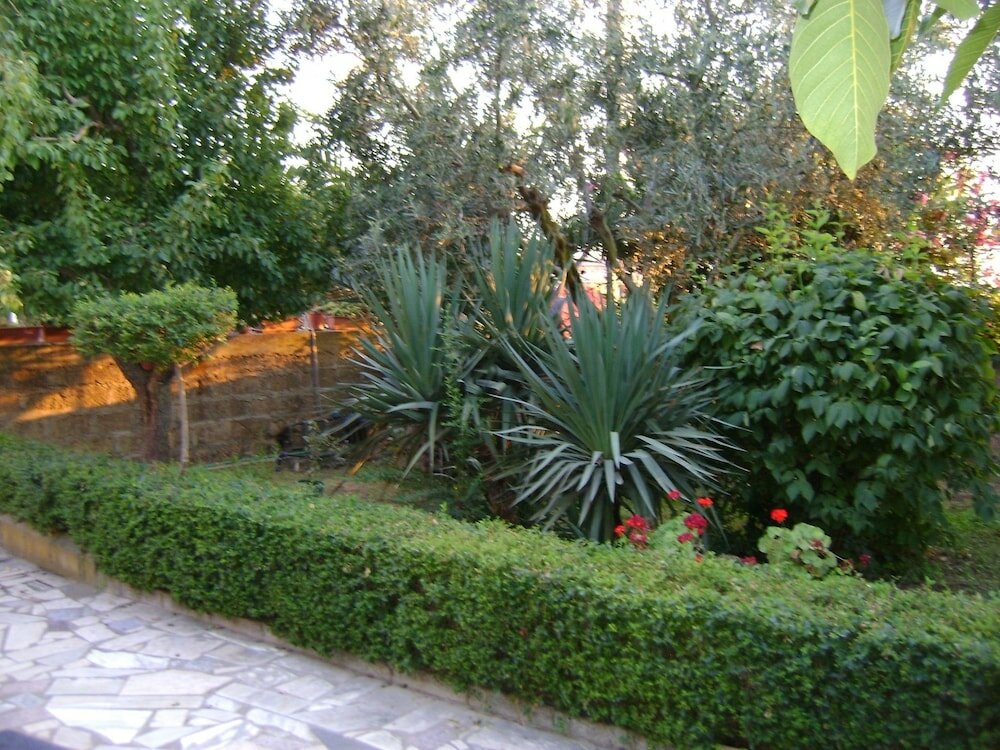 Фото La Favorita