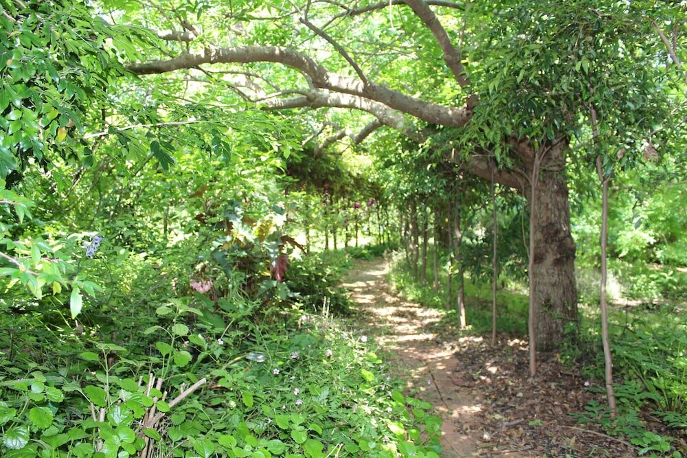 Фото Storey Grange