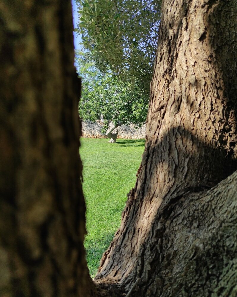 Фото Borgo Santuri