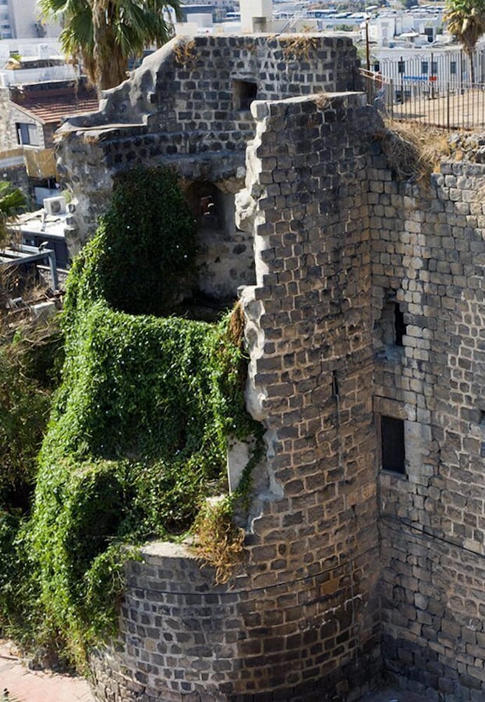 Фото Dona Castle