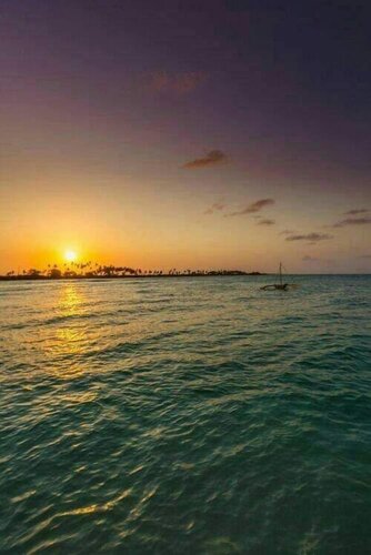 Гостиница Golden Palm Boutique Zanzibar
