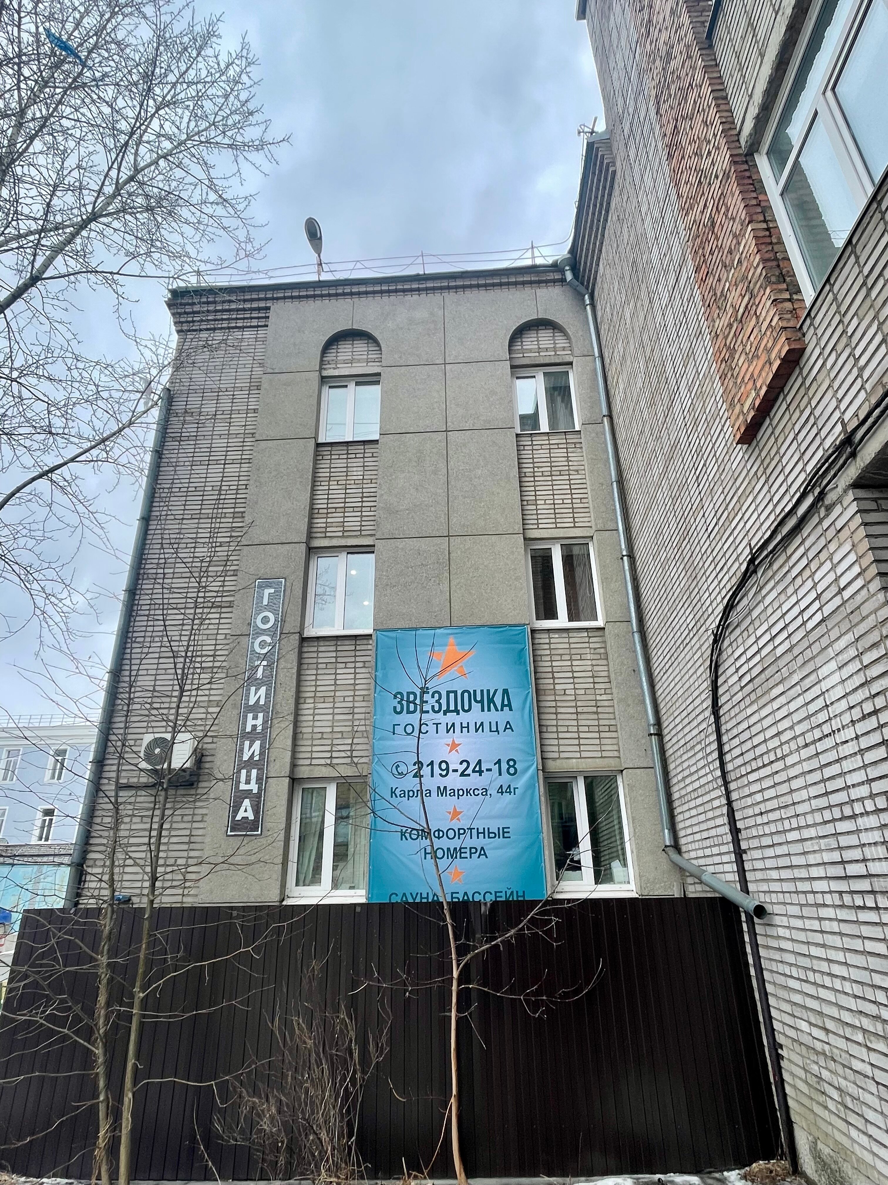 Фото Звездочка