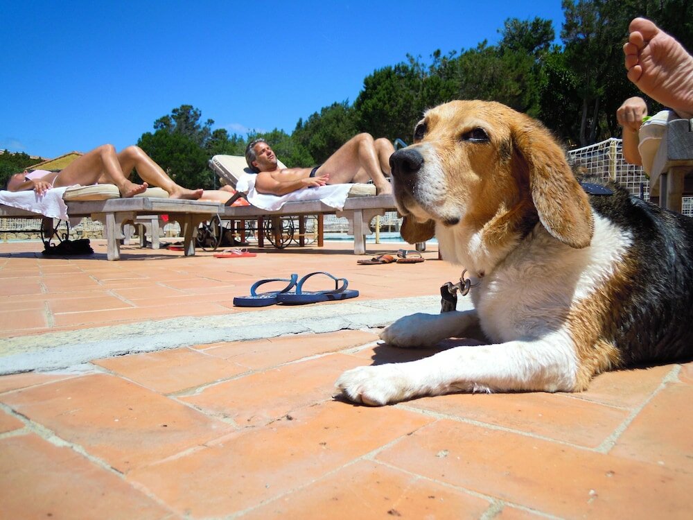 Фото Residenza Capriccioli