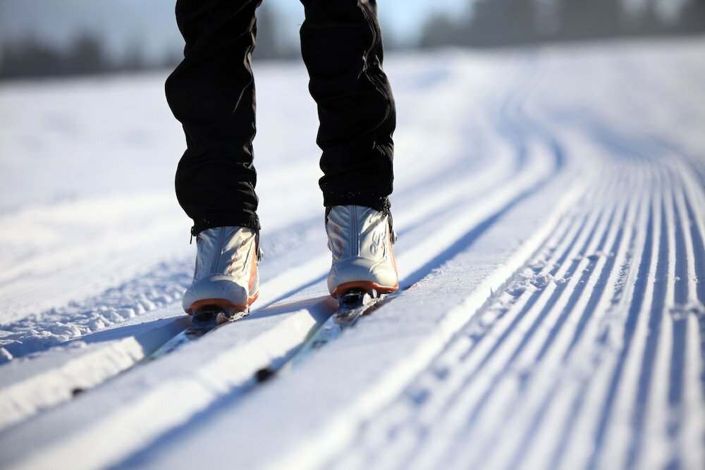 Фото Hotel Schlossblick