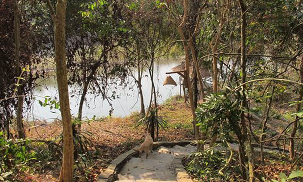 Фото Zen Namkhan Boutique Resort