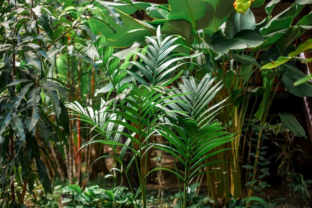 Фото The Vatika Resort and Spa