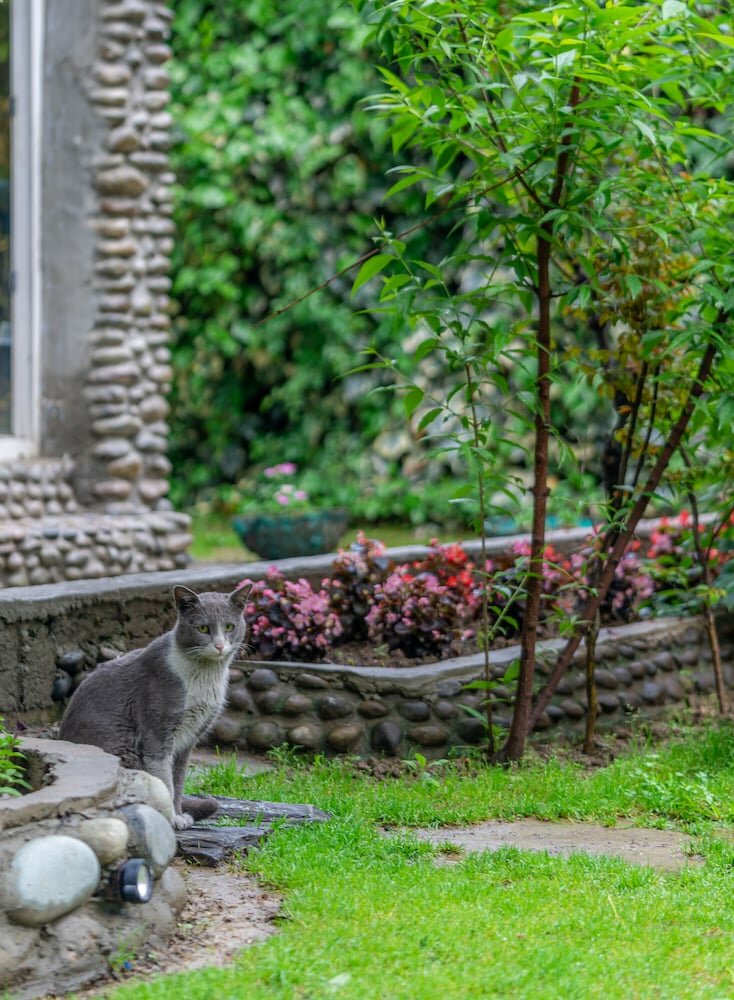 Фото Hotel Mirage