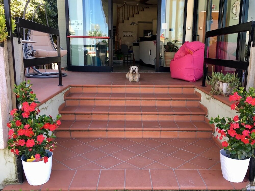 Фото Hotel Bonaria