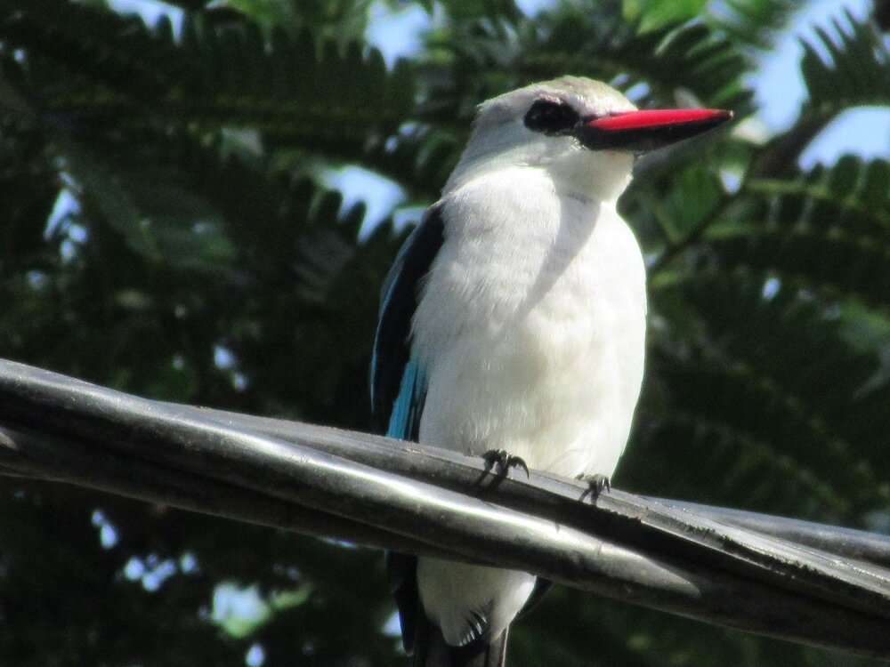 Фото Nyange Resort and Marina