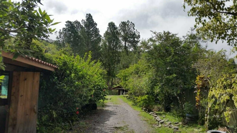 Фото Hotel Alta Vista