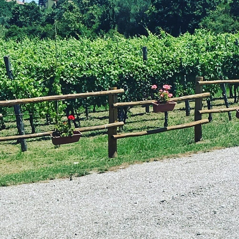 Фото La Timpa del Cucco