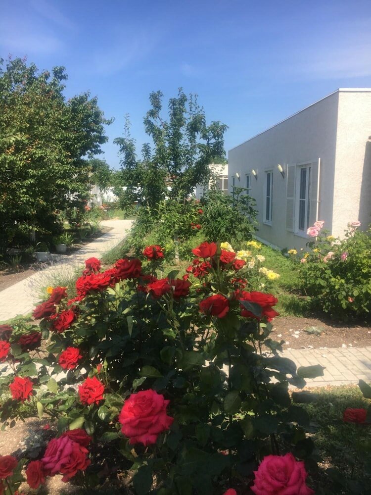 Фото VillaPetra