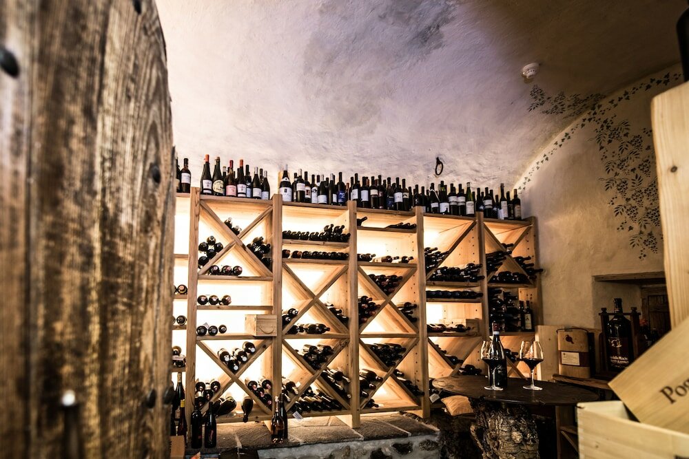 Фото Enzian Genziana