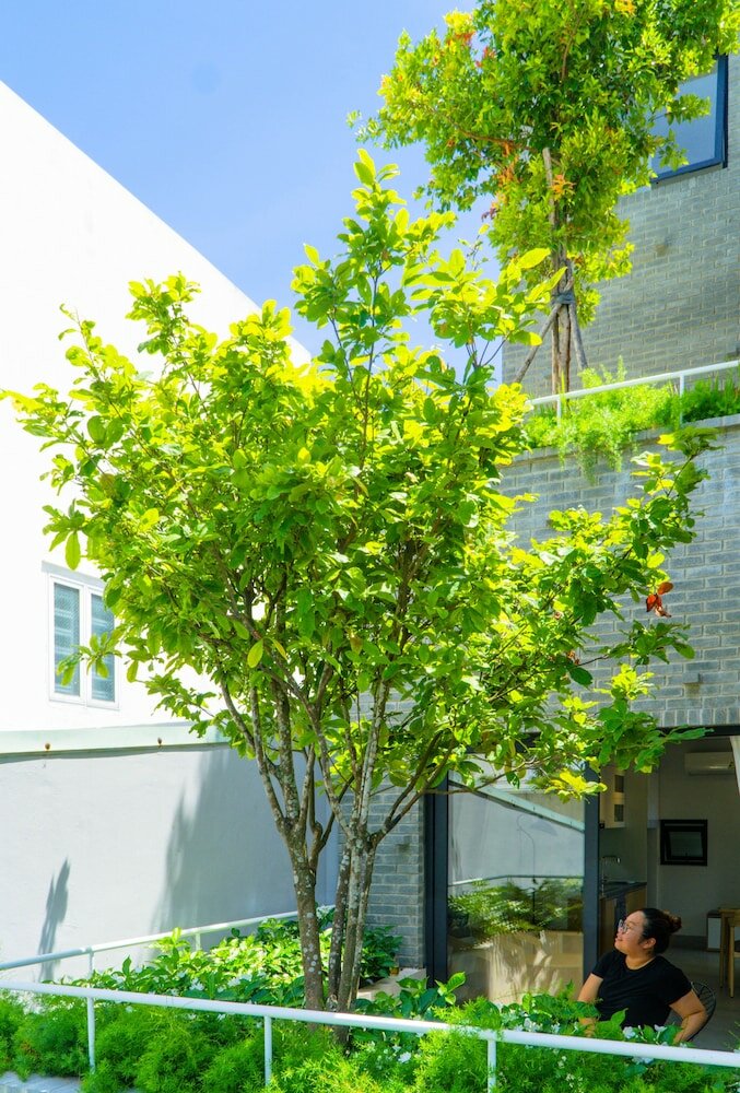 Фото Green Peace Da Nang