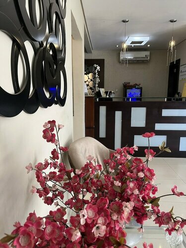 Гостиница Maximus Business Hotel в Жи-Парана