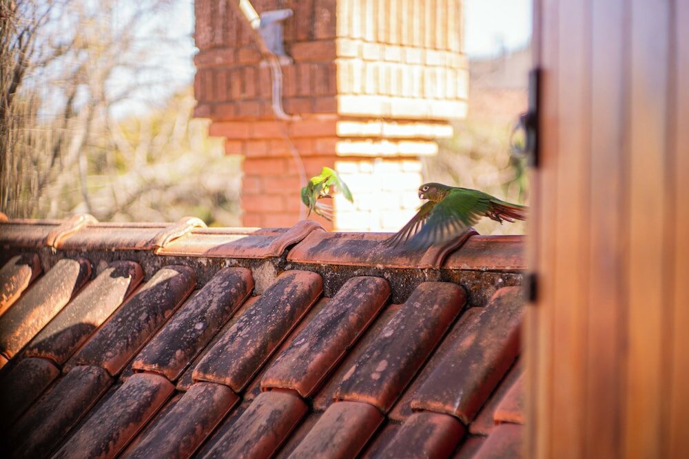 Фото Pousada Suiça Mineira