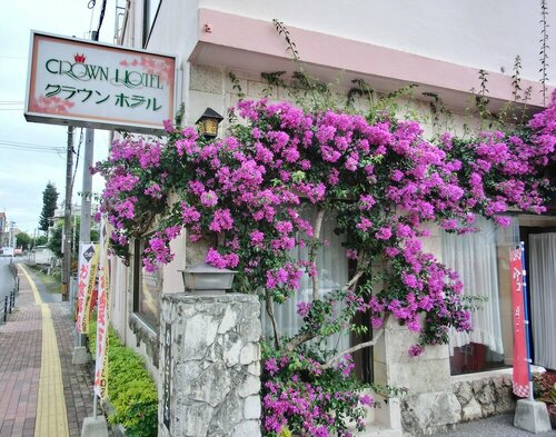 Гостиница Crown Hotel Okinawa