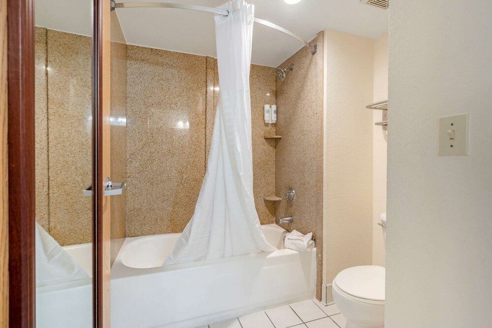 Фото Comfort Inn Kissimmee-Lake Buena Vista South