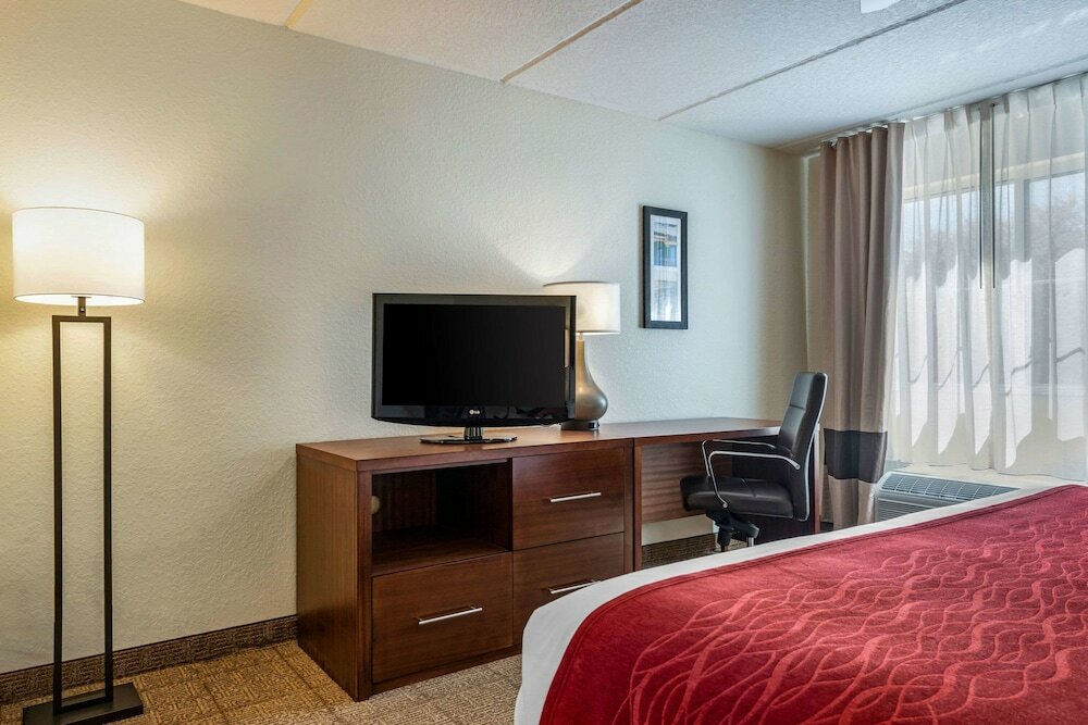 Фото Comfort Inn Kissimmee-Lake Buena Vista South