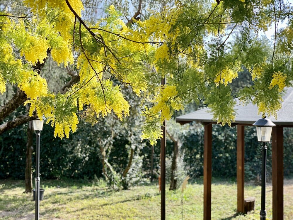 Фото L'Ennesima Osteria con Alloggio - Bike Hotel