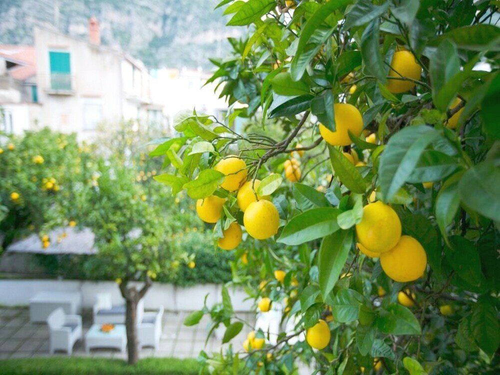 Фото Casa Dorotea