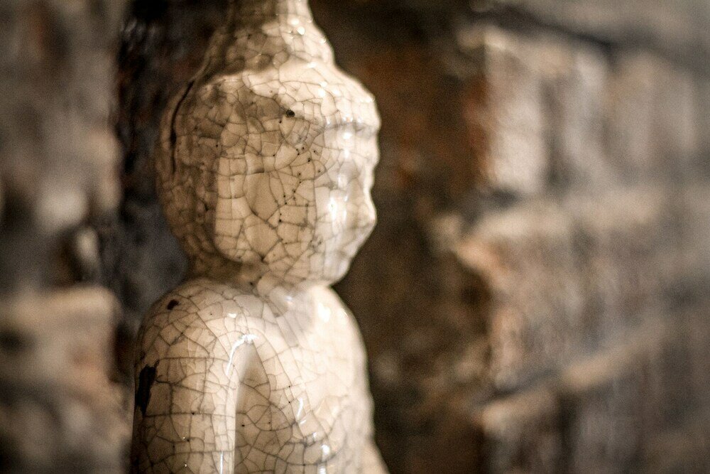 Фото The Backyard