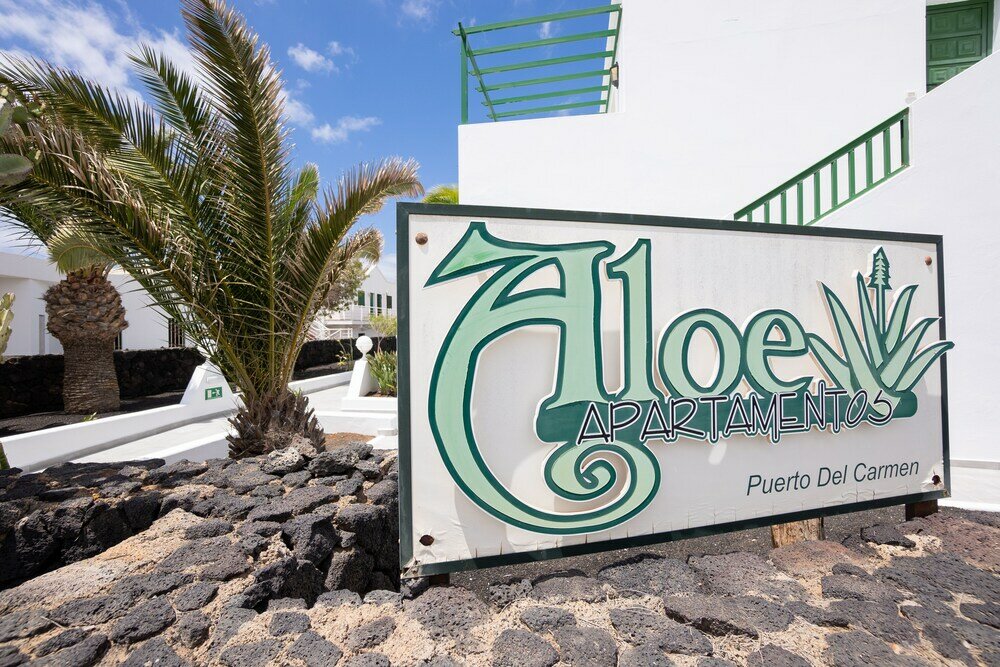 Фото Apartamentos Aloe