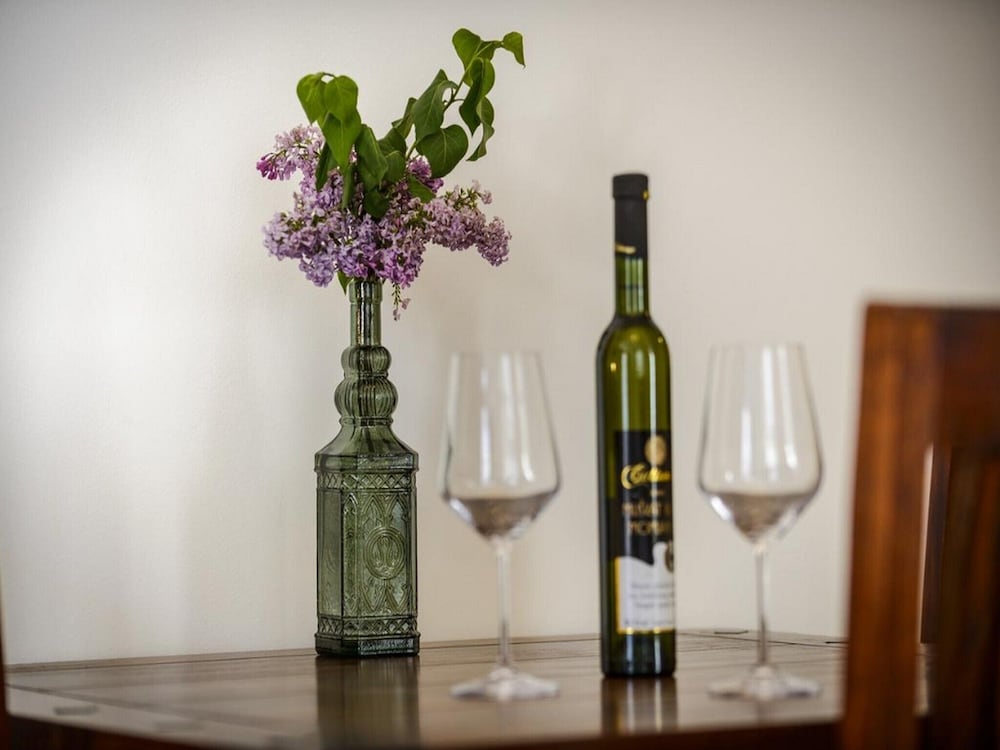 Фото Apartments Franka Old Town