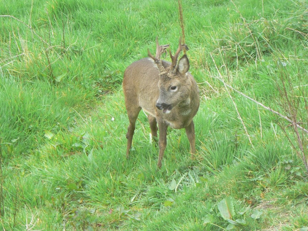 Фото Old Keepers Cottage B&b