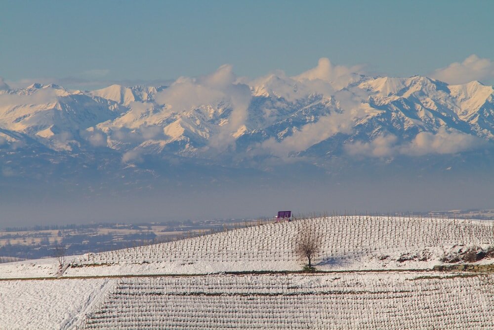 Фото Agriostello delle Langhe