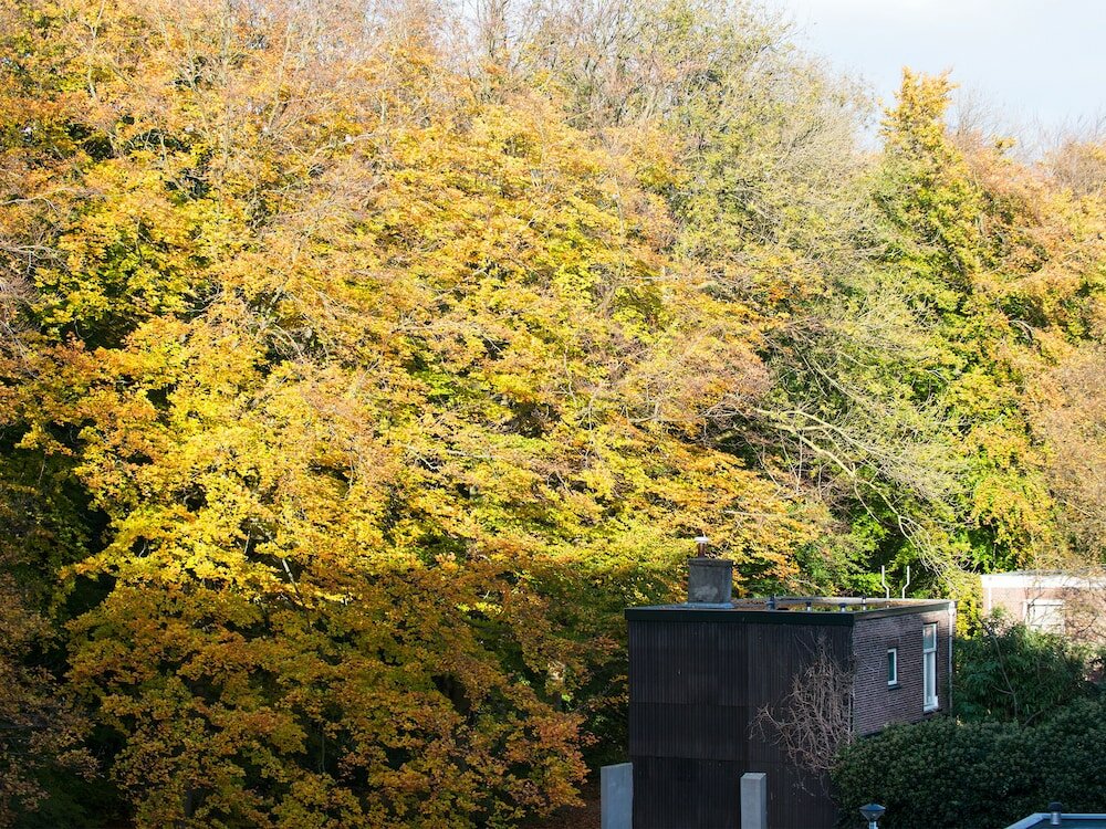 Фото BizStay Park Central Executive