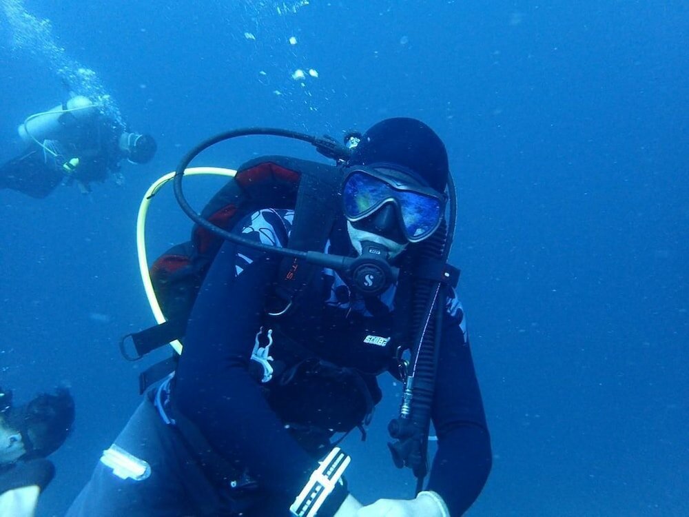 Фото Yellow Duckling Hostel