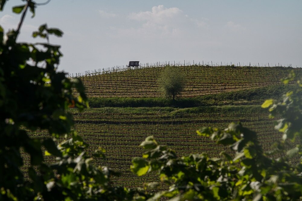 Фото Agriostello delle Langhe
