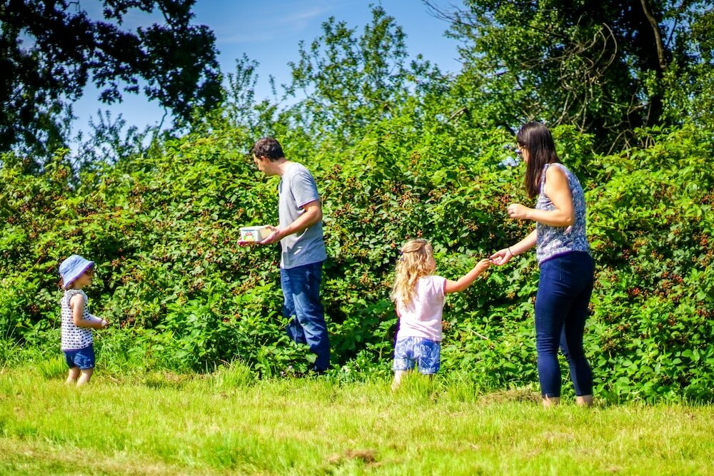 Фото Grey Willow Yurts