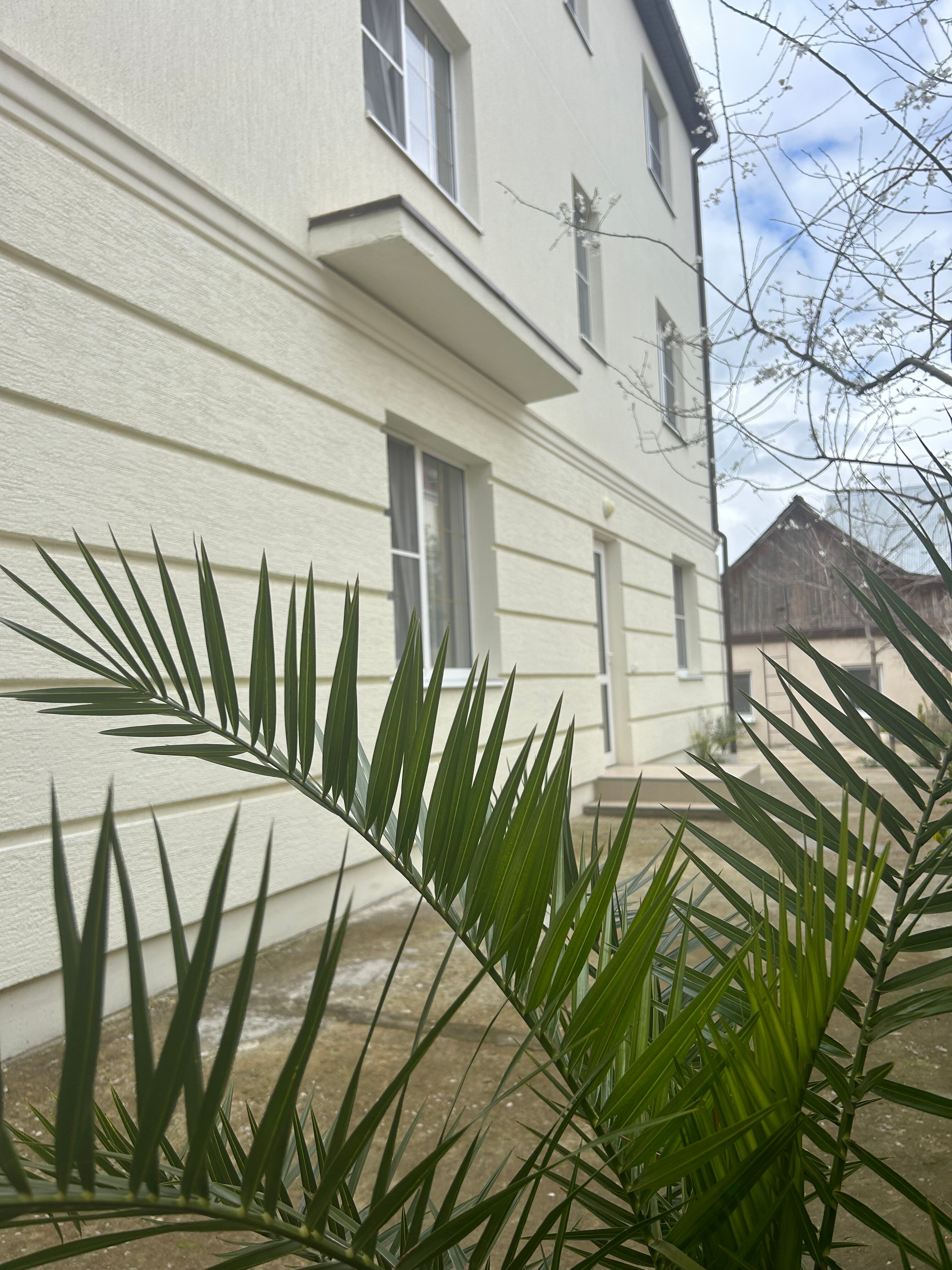 Фото Лимонад