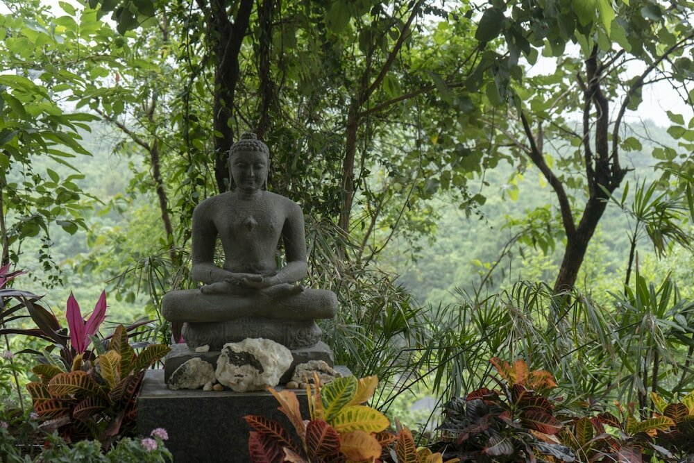 Фото Grape County Resort