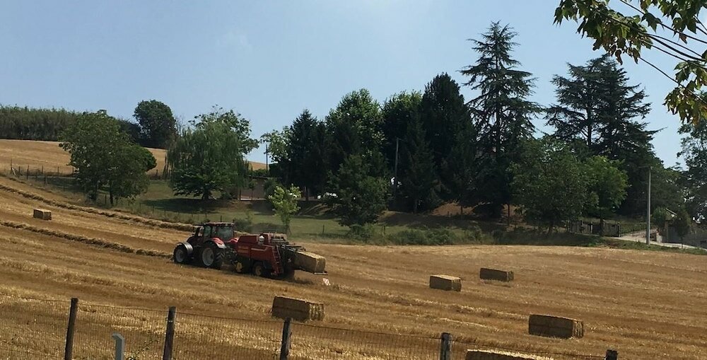 Фото B&b Le Piote