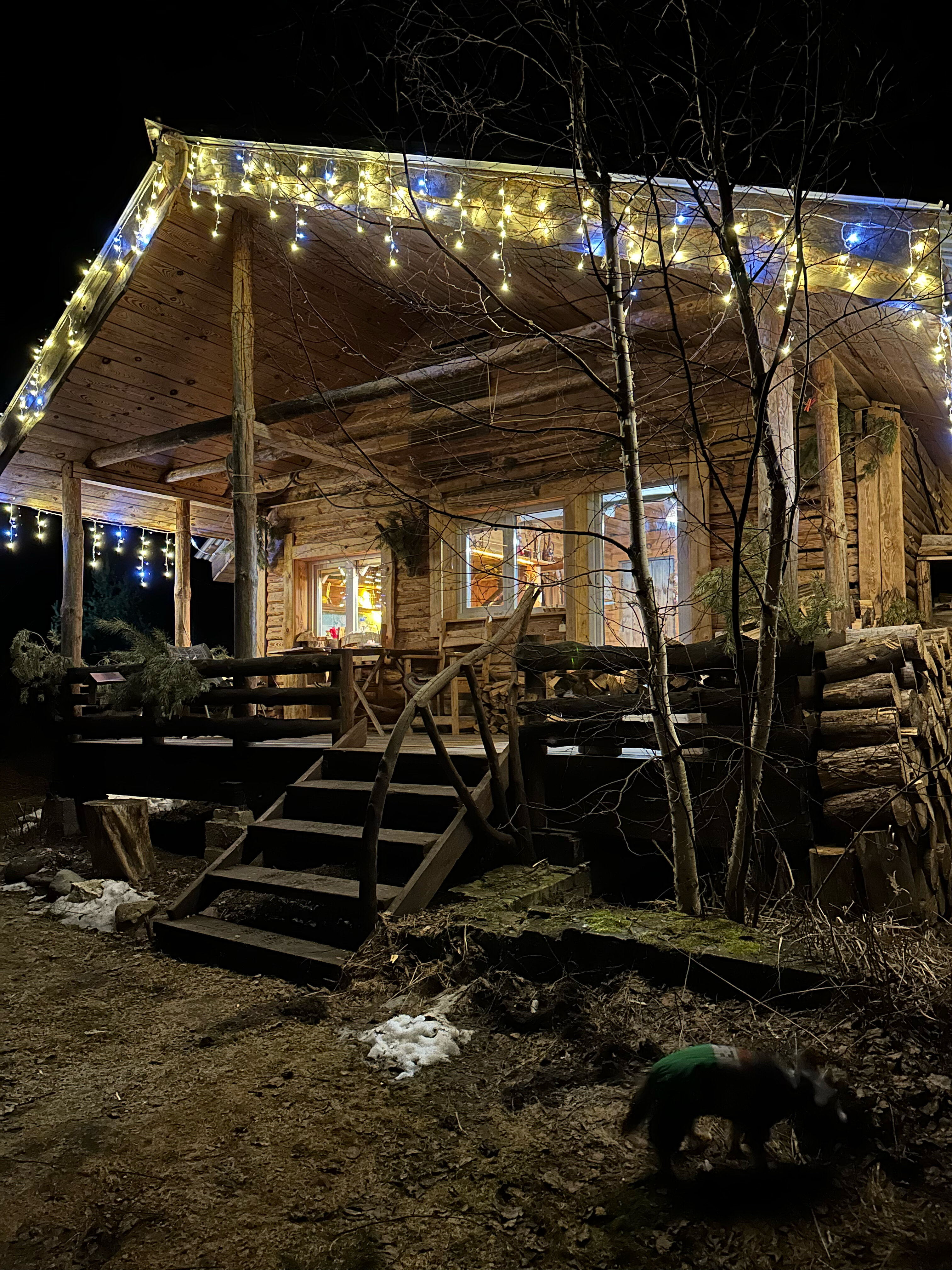 Фото Кедросад