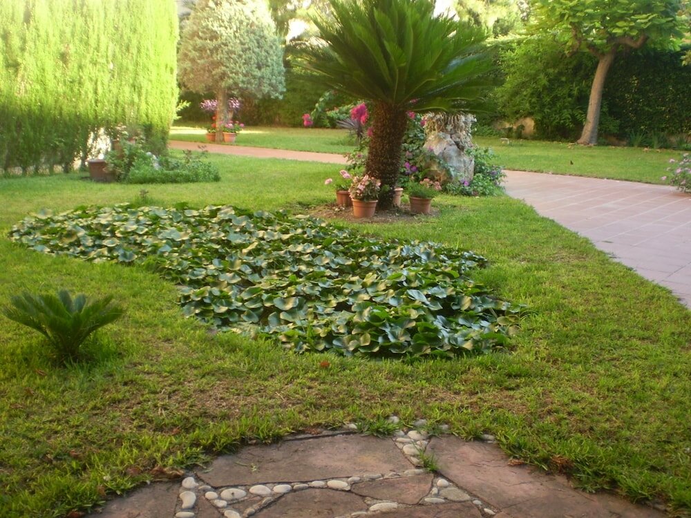 Фото Apartamentos El Oasis